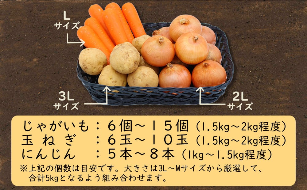 定期便 3回 常備野菜 セット 約5kg 詰め合わせ [吉岡青果 長崎県 雲仙市 item1274]  じゃがいも 玉ねぎ 人参 かぼちゃ