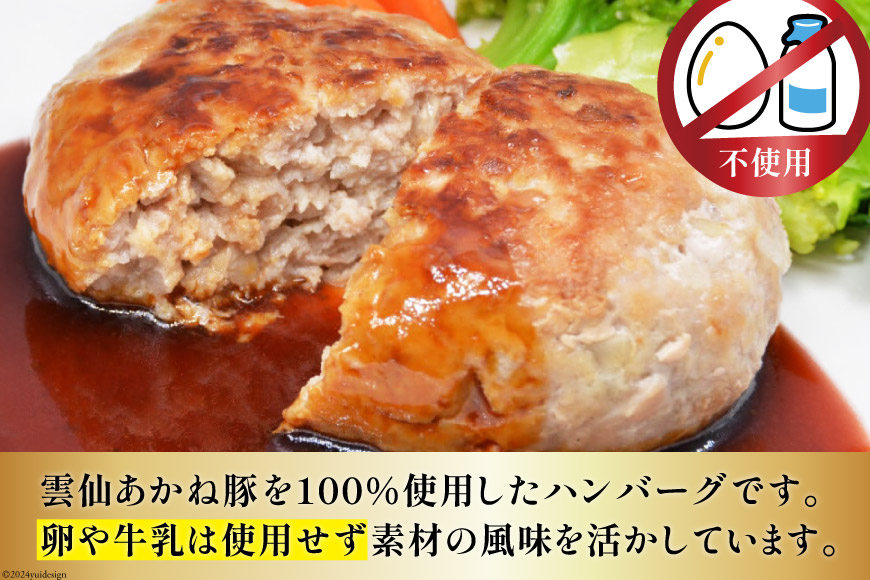 雲仙あかね豚 焼肉 450g ハンバーグ 大2個入×1袋 小2個入×1袋 セット [雲仙どまんなか 長崎県 雲仙市 item1680] 豚肉 ぶたにく国産 セット 冷凍 ポークハンバーグ ブランド豚 100％ 惣菜