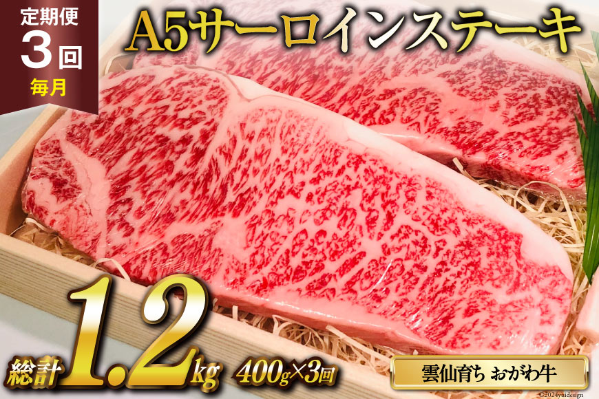 定期便 3回 牛肉 雲仙育ち おがわ牛 A5 サーロインステーキ 総計1.2kg(400g×3回) [焼肉おがわ 長崎県 雲仙市 item1842] ステーキ 黒毛和牛 冷凍