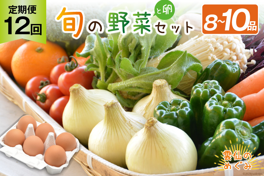 【12回毎月コース】雲仙のめぐみ 旬の野菜セット (S)【卵6個付き】 8～10品目セット [長崎県農産品流通 長崎県 雲仙市 item1575] 野菜 定期 野菜セット フルーツ 果物 くだもの 卵 たまご