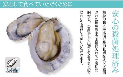 【期間限定発送】【数量限定！】雲仙産 牡蠣 中サイズ 2kg 加熱用・殻付き [ふるさと企画 長崎県 雲仙市 item1536] カキ かき 殻付 2キロ 冷蔵 カンカン焼き 季節限定