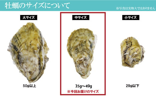 【期間限定発送】【数量限定！】雲仙産 牡蠣 中サイズ 2kg 加熱用・殻付き [ふるさと企画 長崎県 雲仙市 item1536] カキ かき 殻付 2キロ 冷蔵 カンカン焼き 季節限定