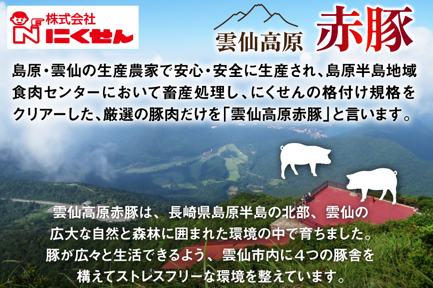 雲仙高原 赤豚 国産 豚ウデ 切り落とし 2kg 500g×4p [長崎県農産品流通 長崎県 雲仙市 item1582] 豚肉 肉 切落し