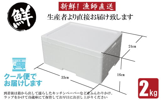 【期間限定発送】【数量限定！】雲仙産 牡蠣 中サイズ 2kg 加熱用・殻付き [ふるさと企画 長崎県 雲仙市 item1536] カキ かき 殻付 2キロ 冷蔵 カンカン焼き 季節限定