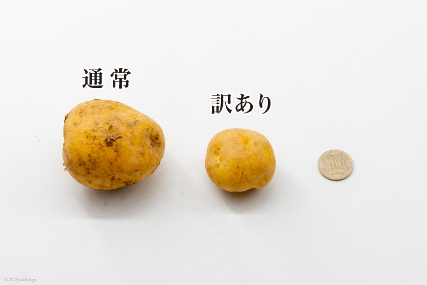 【期間限定発送】 訳あり じゃがいも ながさき黄金 5kg 小玉サイズ（ 春じゃがいも ） [南串ながさき黄金生産組合 長崎県 雲仙市 item1357] 訳アリ ジャガイモ 春ジャガイモ 野菜 期間限定