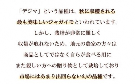 【期間限定発送】 じゃがいも なんぐしデジマ 秋作 10kg [なんぐしデジマプロジェクトチーム 長崎県 雲仙市 item1216] ジャガイモ 野菜 デジマ 10キロ 秋じゃが