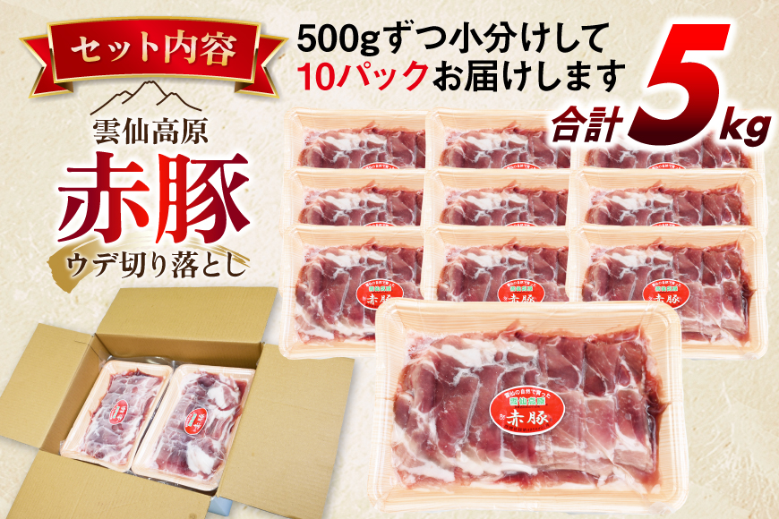 雲仙高原 赤豚 国産 豚ウデ 切り落とし 5kg 500g×10p [長崎県農産品流通 長崎県 雲仙市 item1583] 豚肉 肉 切落し