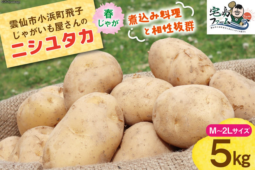 【期間限定発送】 じゃがいも ニシユタカ 5kg [宅島ファーム 長崎県 雲仙市 item1171] 野菜 ジャガイモ 5キロ 馬鈴薯 春じゃが 長崎県産 期間限定