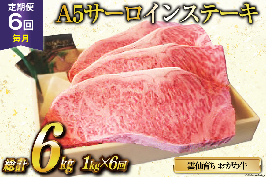 定期便 6回 牛肉 雲仙育ち おがわ牛 A5 サーロインステーキ 総計6kg(1kg×6回) ステーキ 黒毛和牛 冷凍 [焼肉おがわ 長崎県 雲仙市 item1845]