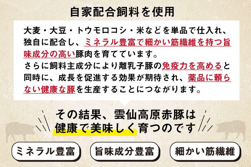 雲仙高原 赤豚 国産 豚ウデ 切り落とし 2kg 500g×4p [長崎県農産品流通 長崎県 雲仙市 item1582] 豚肉 肉 切落し