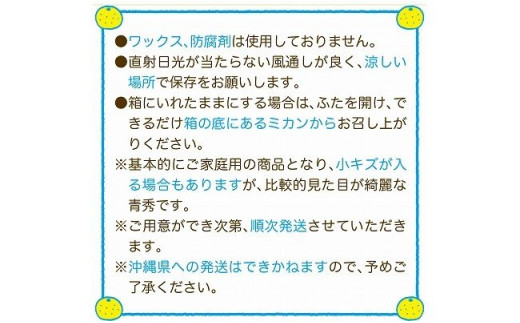 【期間限定発送】 春みかん『はるか』5kg [森崎果樹園 長崎県 雲仙市 item1343] みかん 果物 はるか 5キロ 期間限定