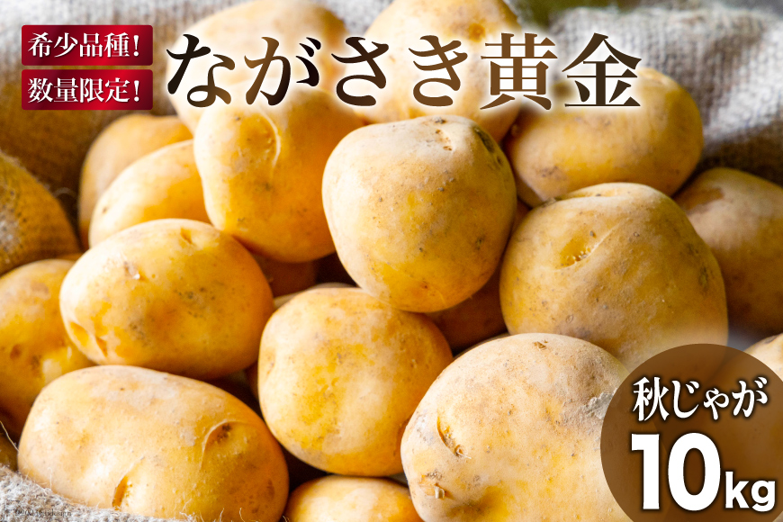 【期間限定発送】 じゃがいも ながさき黄金 10kg ( 秋じゃがいも ) [南串ながさき黄金生産組合 長崎県 雲仙市 item1353] ジャガイモ 秋ジャガイモ 野菜 10キロ 期間限定