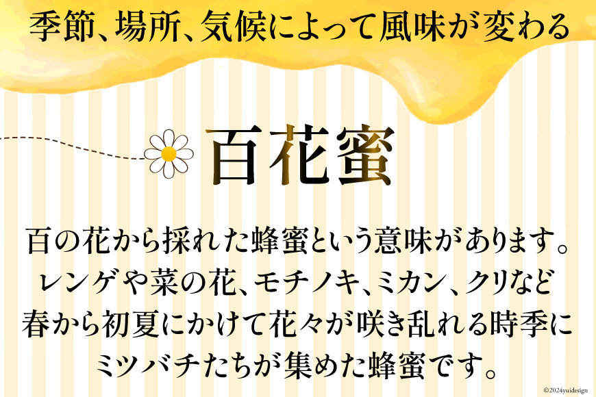 3回 定期便 はちみつ 国産はちみつ ( 百花蜜 ・ はぜ蜜 ) 500g×3回 計1.5kg [村木養蜂場 長崎県 雲仙市 item1312] はちみつ 国産 蜂蜜 ハチミツ