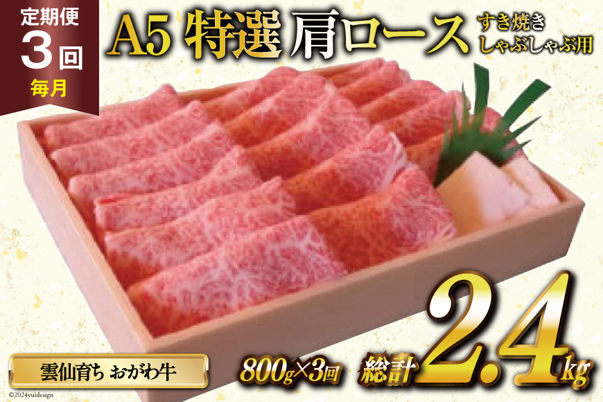 定期便 3回 牛肉 雲仙育ち おがわ牛 A5 特選 肩ロース すき焼き・しゃぶしゃぶ用 総計2.4kg(800g×3回) 黒毛和牛 冷凍 [焼肉おがわ 長崎県 雲仙市 item1836]