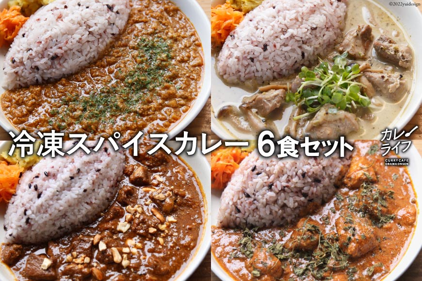 冷凍スパイスカレー 4種 計6食セット [カレーライフ 長崎県 雲仙市 item0819] キーマ グリーン チキン ポーク 詰め合わせ 食べ比べ