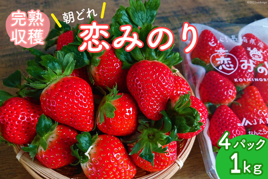 【先行受付】いちご 1kg以上 恋みのり 2Lサイズ以上 朝どれ シャインファームから直送 / 吉岡青果 / 長崎県 雲仙市 [item0832] / 果物 くだもの フルーツ イチゴ 苺 4パック 1キロ