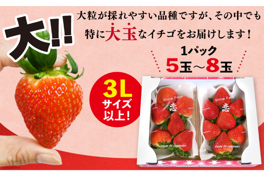 大玉限定！ いちご 恋みのり 約540g 270g 2パック 3L サイズ以上 [長崎県農産品流通 長崎県 雲仙市 item2033] イチゴ 苺 フルーツ 果物 季節限定