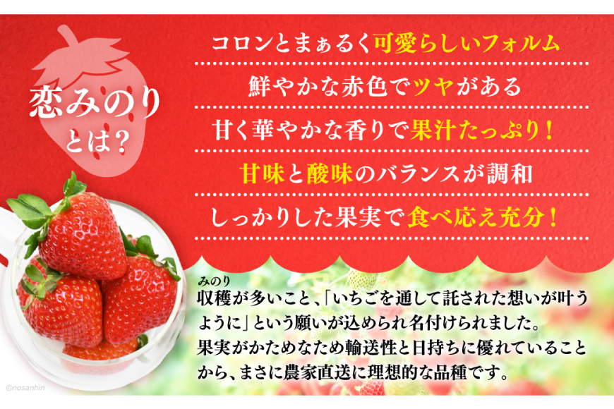 大玉限定！ いちご 恋みのり 約540g 270g 2パック 3L サイズ以上 [長崎県農産品流通 長崎県 雲仙市 item2033] イチゴ 苺 フルーツ 果物 季節限定