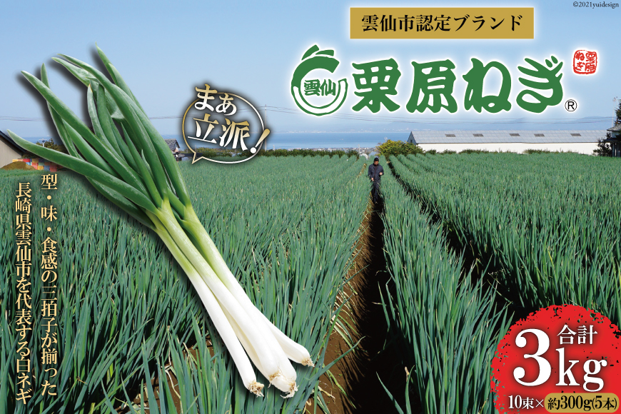 【期間限定発送】 ねぎ 雲仙栗原ねぎ 約300g（5本）×10束 計3kg [栗原ねぎ 長崎県 雲仙市 item1895] ネギ 白ネギ 野菜 10束 3キロ