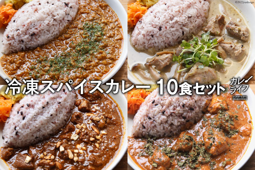 冷凍スパイスカレー 4種 計10食セット [カレーライフ 長崎県 雲仙市 item0818] キーマ グリーン チキン ポーク 詰め合わせ 食べ比べ