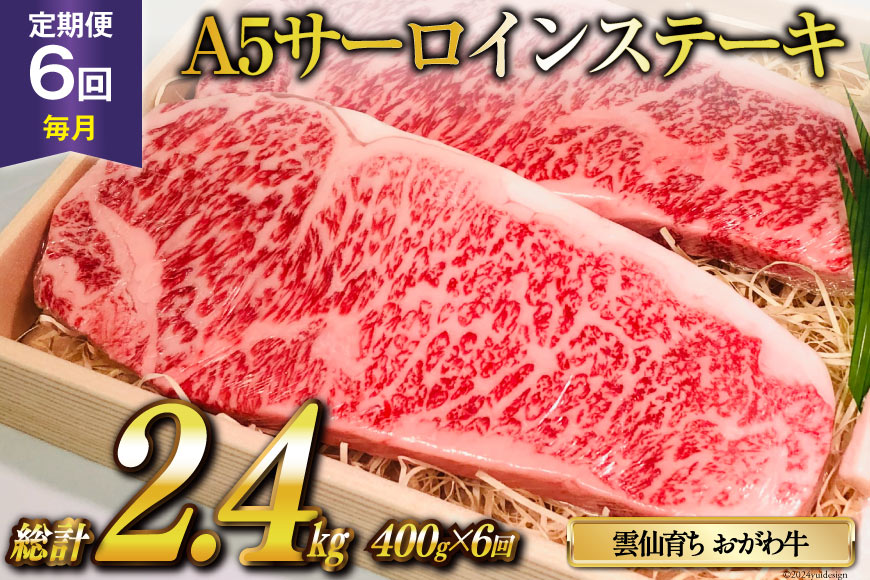 定期便 6回 牛肉 雲仙育ち おがわ牛 A5 サーロインステーキ 総計2.4kg(400g×6回) [焼肉おがわ 長崎県 雲仙市 item1843] ステーキ 黒毛和牛 冷凍