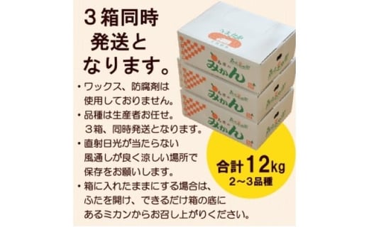 【期間限定発送】 みかん 季節のみかんセット 12kg（4kg×3箱） [森崎果樹園 長崎県 雲仙市 item1341] みかん 果物 くだもの ミカン セット 12キロ 期間限定