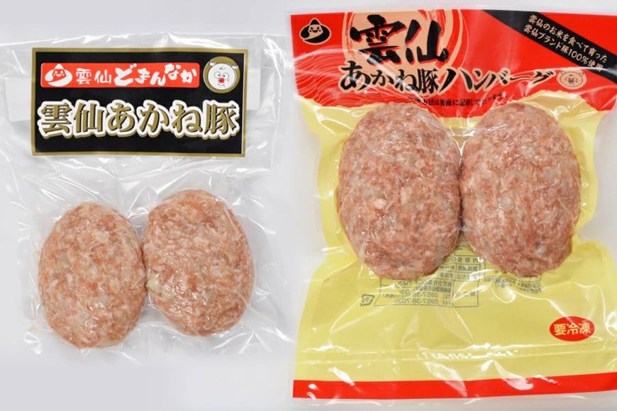 雲仙あかね豚 焼肉 450g ハンバーグ 大2個入×1袋 小2個入×1袋 セット [雲仙どまんなか 長崎県 雲仙市 item1680] 豚肉 ぶたにく国産 セット 冷凍 ポークハンバーグ ブランド豚 100％ 惣菜