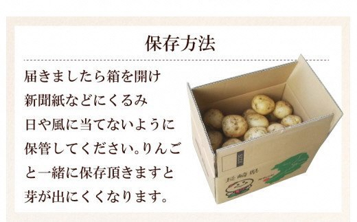 【期間限定発送】 じゃがいも なんぐしデジマ 秋作 10kg [なんぐしデジマプロジェクトチーム 長崎県 雲仙市 item1216] ジャガイモ 野菜 デジマ 10キロ 秋じゃが