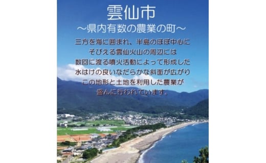 【期間限定発送】 みかん 柑橘詰合せセット 2種類（5kg×2箱）計10kg [森崎果樹園 長崎県 雲仙市 item1342] みかん 10kg 果物 フルーツ 詰め合わせ セット 10キロ 期間限定