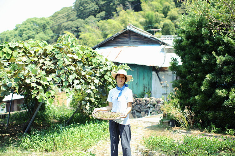 藍の青いお茶