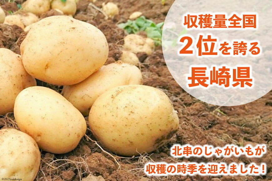 【期間限定発送】 じゃがいも 雲仙市産 秋じゃが 10kg［北串 秋・冬収穫じゃがいも各種］ [トトノウ 長崎県 雲仙市 item1418] ジャガイモ 秋じゃがいも 野菜 10キロ 期間限定 長崎県産