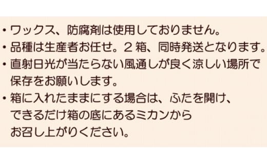 【期間限定発送】 みかん 柑橘詰合せセット 2種類（5kg×2箱）計10kg [森崎果樹園 長崎県 雲仙市 item1342] みかん 10kg 果物 フルーツ 詰め合わせ セット 10キロ 期間限定