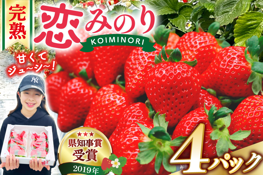 【期間限定発送】 いちご 恋みのり 1kg 以上 4パック [キチ・フィールド 長崎県 雲仙市 item1850] イチゴ 苺 フルーツ 果物 期間限定 季節限定 先行予約