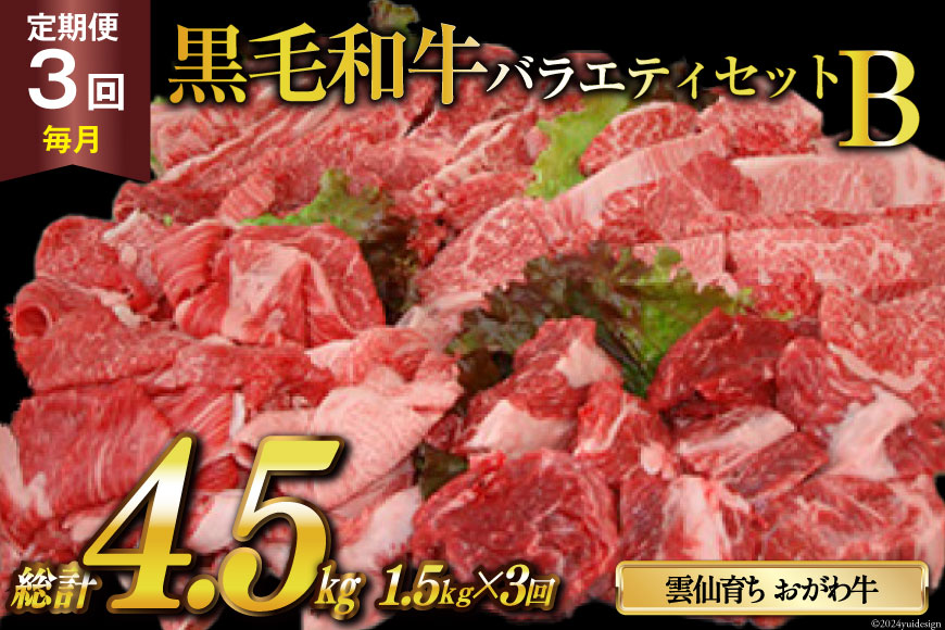 定期便 3回 牛肉 雲仙育ち おがわ牛 バラエティーセットB 総計4.5kg(1.5kg×3回) [焼肉おがわ 長崎県 雲仙市 item1848] 黒毛和牛 カルビ 切り落とし 定期 冷凍