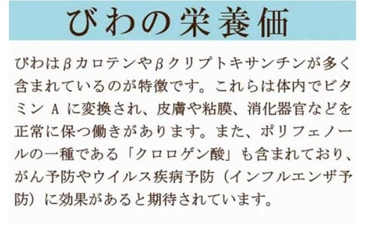 【期間限定発送】【数量限定】 長崎びわ 約 1kg [長崎県農産品流通 長崎県 雲仙市 item1562] ビワ 枇杷 果物 くだもの フルーツ 季節限定 期間限定