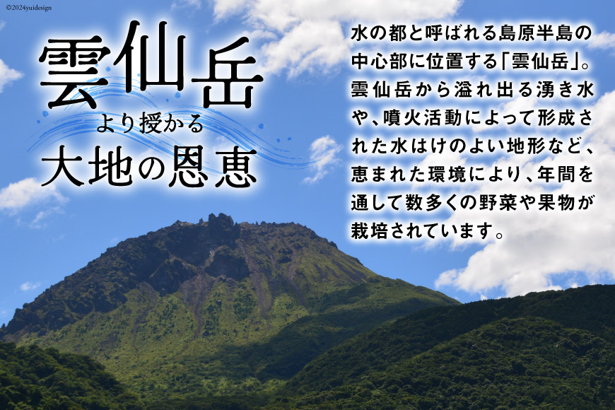 【6回偶数月コース】旬の野菜・フルーツセット 野菜 定期便 【太陽卵6個付き】 13品目から15品目の豪華セット [長崎県農産品流通 長崎県 雲仙市 item1569] 野菜 定期 野菜セット フルーツ 果物 くだもの 卵 たまご