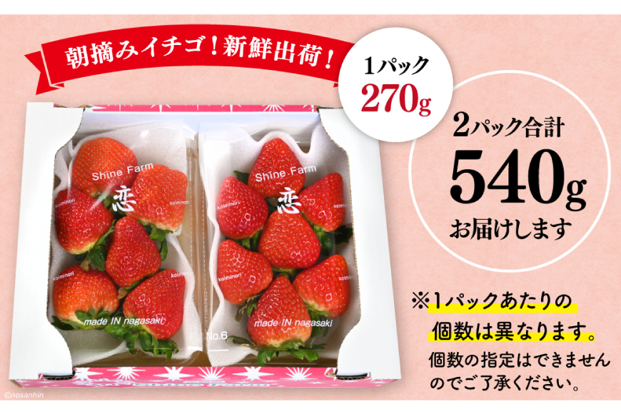 大玉限定！ いちご 恋みのり 約540g 270g 2パック 3L サイズ以上 [長崎県農産品流通 長崎県 雲仙市 item2033] イチゴ 苺 フルーツ 果物 季節限定