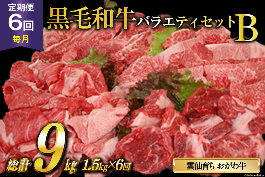 定期便 6回 牛肉 雲仙育ち おがわ牛 バラエティーセットB 総計9kg(1.5kg×6回) [焼肉おがわ 長崎県 雲仙市 item1849] 黒毛和牛 カルビ 切り落とし 定期 冷凍