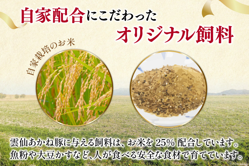 雲仙あかね豚 しゃぶしゃぶ 400g ハンバーグ 大2個入×1袋 小2個入×1袋 セット [雲仙どまんなか 長崎県 雲仙市 item1682] 豚肉 ぶたにく国産 セット 冷凍 ポークハンバーグ ブランド豚 100％ 惣菜