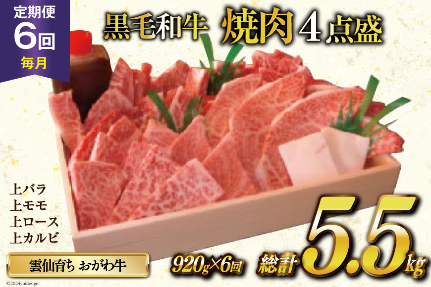 定期便 6回 牛肉 雲仙育ち おがわ牛 焼肉4点盛 総計約5.5kg(920g×6回) 黒毛和牛 上バラ 上モモ 上ロース 上カルビ 冷凍 [焼肉おがわ 長崎県 雲仙市 item1839]