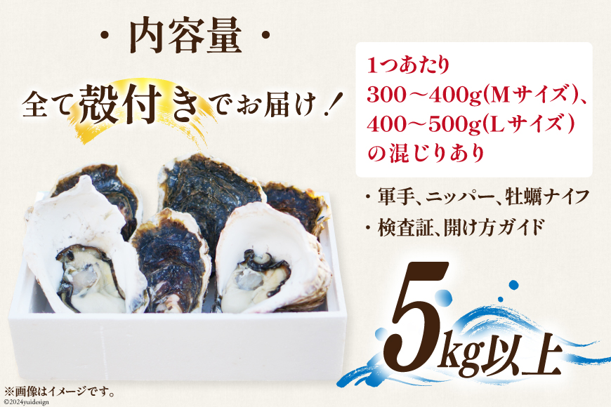 【期間限定発送】 岩牡蠣 生食 5kg 以上 [天洋丸 長崎県 雲仙市 item1908] 牡蠣 かき カキ 冷凍 いわがき 岩がき 殻付 殻付き 先行予約