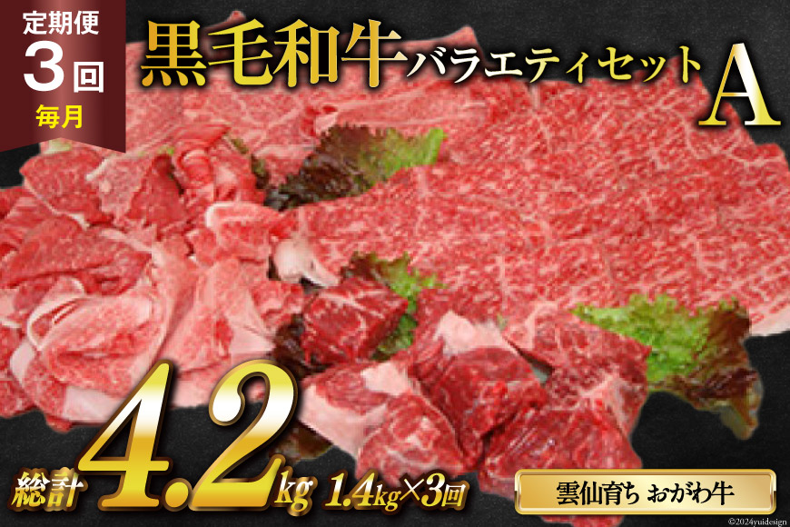 定期便 3回 牛肉 雲仙育ち おがわ牛 バラエティーセットA 総計4.2kg(1.4kg×3回) [焼肉おがわ 長崎県 雲仙市 item1846] 黒毛和牛 上ロース モモ 切落とし スライス 薄切り肉 冷凍