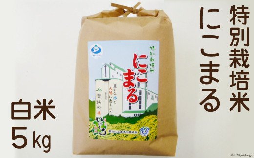 白米（特別栽培米にこまる）5kg [JA島原雲仙 西部基幹営農センター 長崎県 雲仙市 item1991] 米 にこまる 5キロ