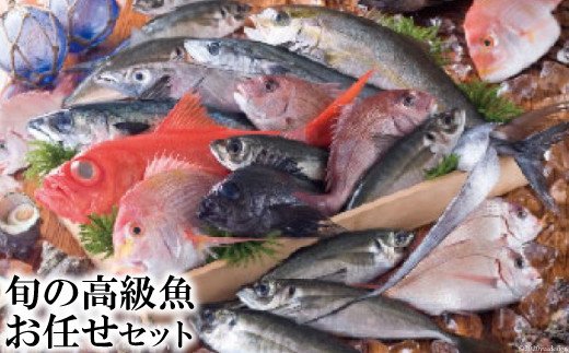 旬の高級魚お任せセット / 田中鮮魚店 / 長崎県雲仙市