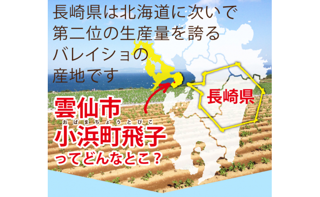 【期間限定発送】 じゃがいも 飛子の馬鈴薯 5kg 春じゃが [長崎県農産品流通 長崎県 雲仙市 item1541] ジャガイモ 春じゃがいも 5キロ 野菜 季節限定