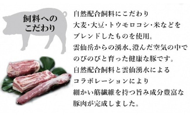 長崎県産 雲仙高原赤豚 ブロック肉3種 約1900g