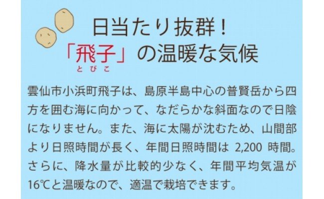 【先行受付】飛子の馬鈴薯 5kg （ 秋じゃが ）[長崎県農産品流通合同会社 長崎県 雲仙市 item0092] 野菜 じゃがいも ジャガイモ 5キロ 期間限定