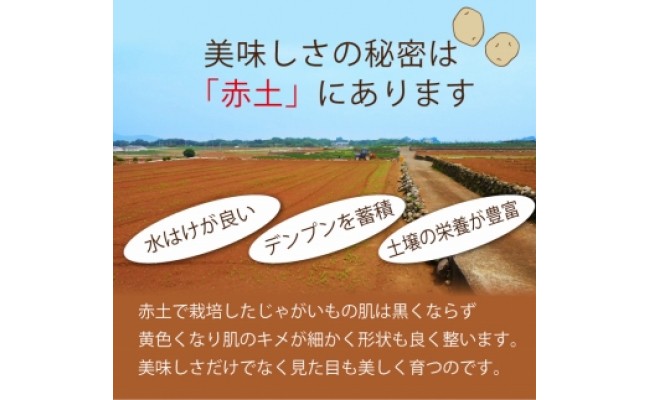 【期間限定発送】 じゃがいも 飛子の馬鈴薯 5kg 秋じゃが [長崎県農産品流通 長崎県 雲仙市 item1543] ジャガイモ 秋じゃがいも 5キロ 野菜 季節限定