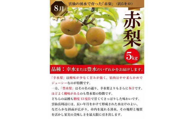 【6回 定期便 】四季を感じる 雲仙ぜいたく定期便 [長崎県農産品流通 長崎県 雲仙市 item1551] 定期 野菜 いちご とうもろこし なし 豚肉 ブロック 米 果物 フルーツ 肉