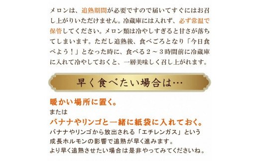 【期間限定発送】【メロンの王様】アールスメロン 2玉 3.5キロ以上 [長崎県農産品流通 長崎県 雲仙市 item1545] メロン めろん 果物 フルーツ 季節限定 数量限定 期間限定